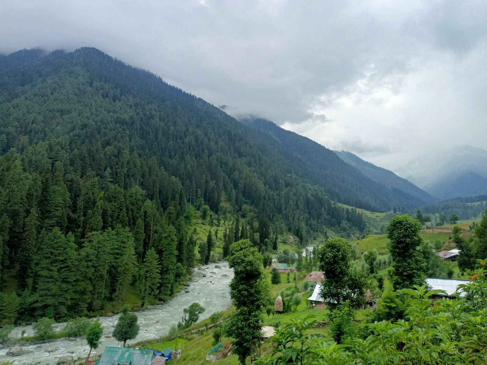 The green Aru valley above Pahalgam in summer